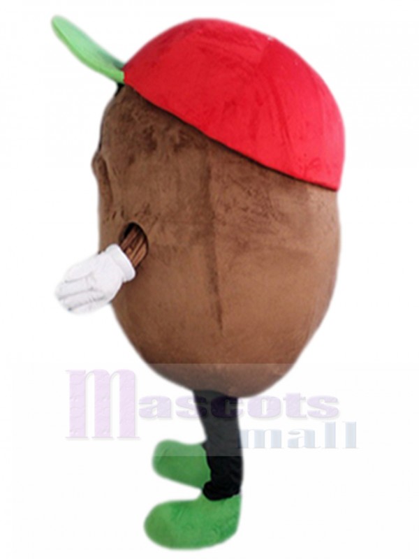 Pomme de terre costume de mascotte