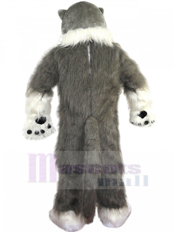 Loup costume de mascotte