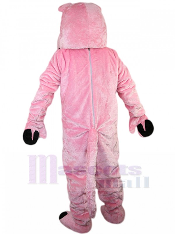 Hippopotame costume de mascotte