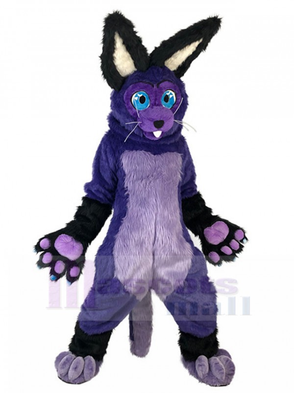 Lapin costume de mascotte