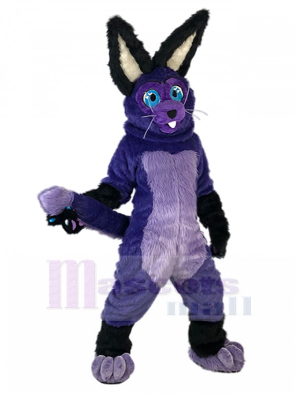 Lapin costume de mascotte