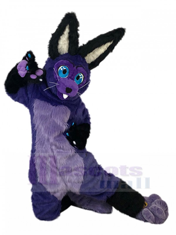 Lapin costume de mascotte