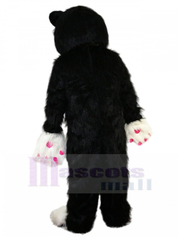 Chat costume de mascotte