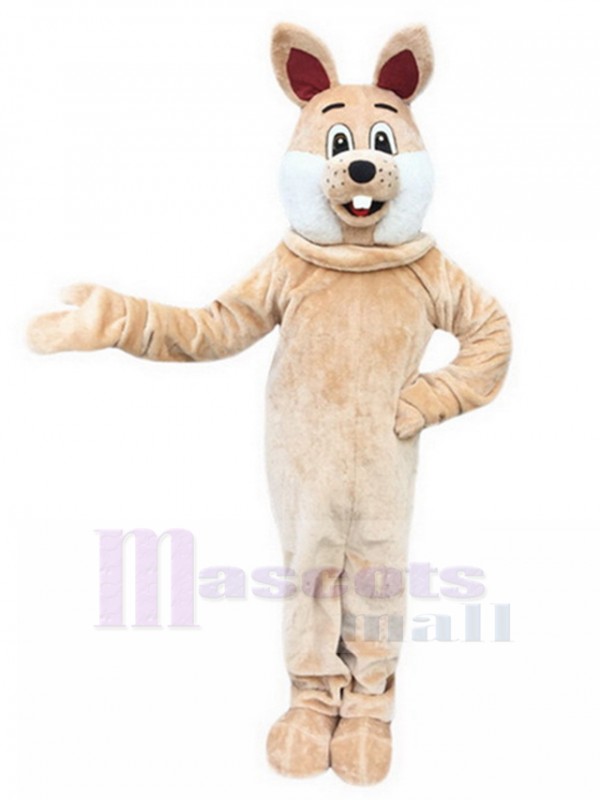 Lapin costume de mascotte