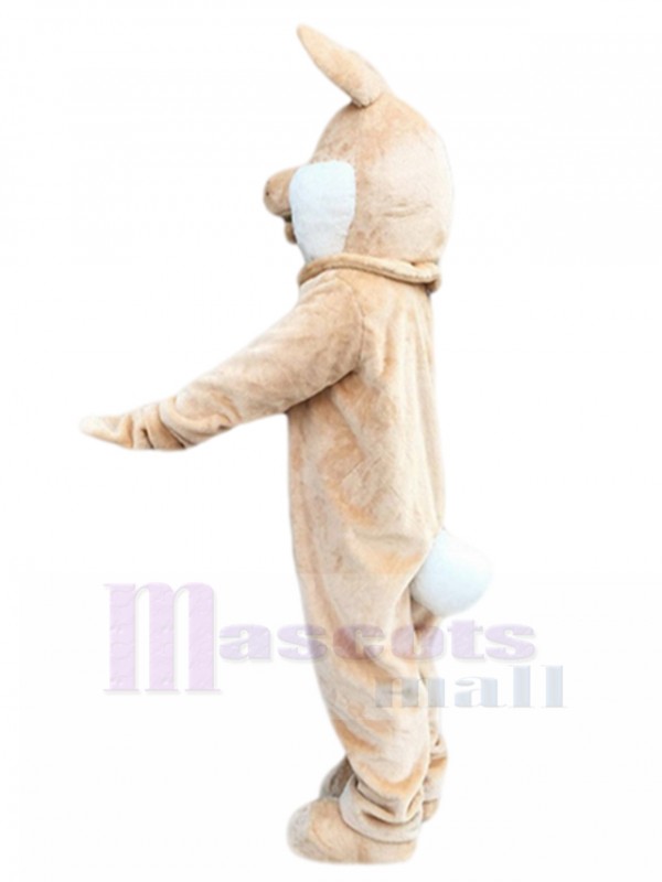 Lapin costume de mascotte