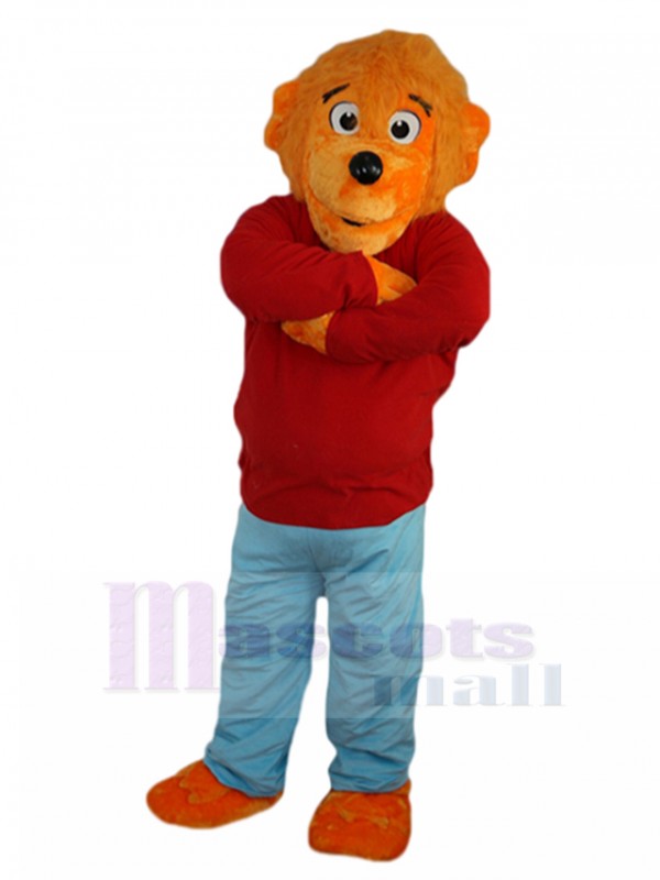 Ours costume de mascotte