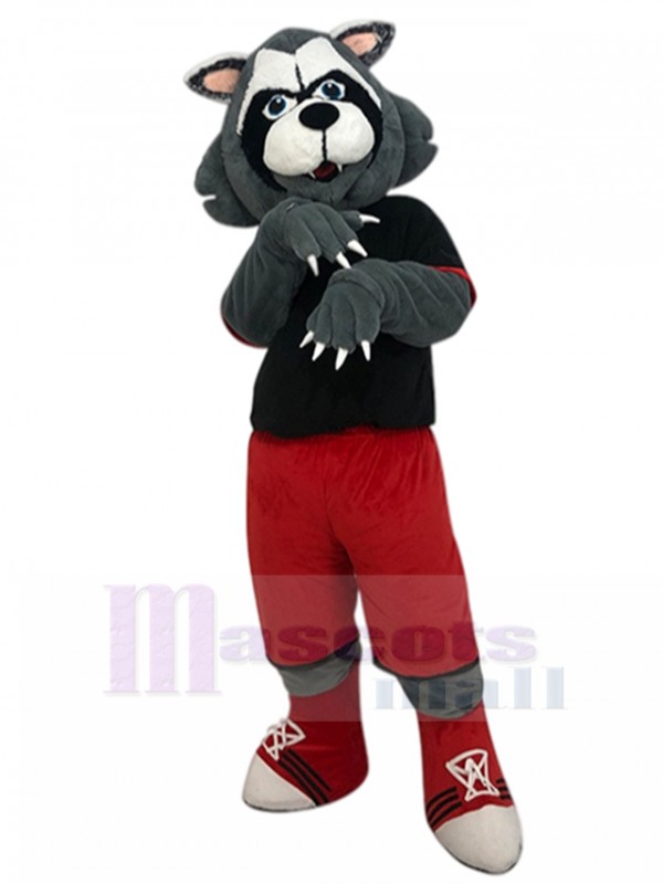 Loup costume de mascotte