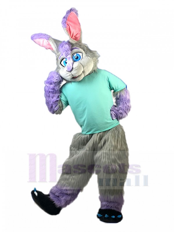 Lapin costume de mascotte