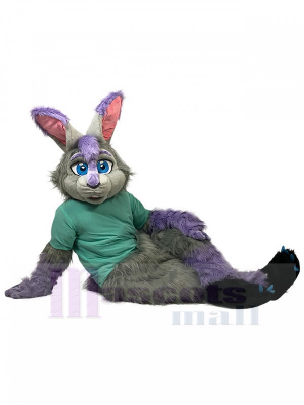Lapin costume de mascotte