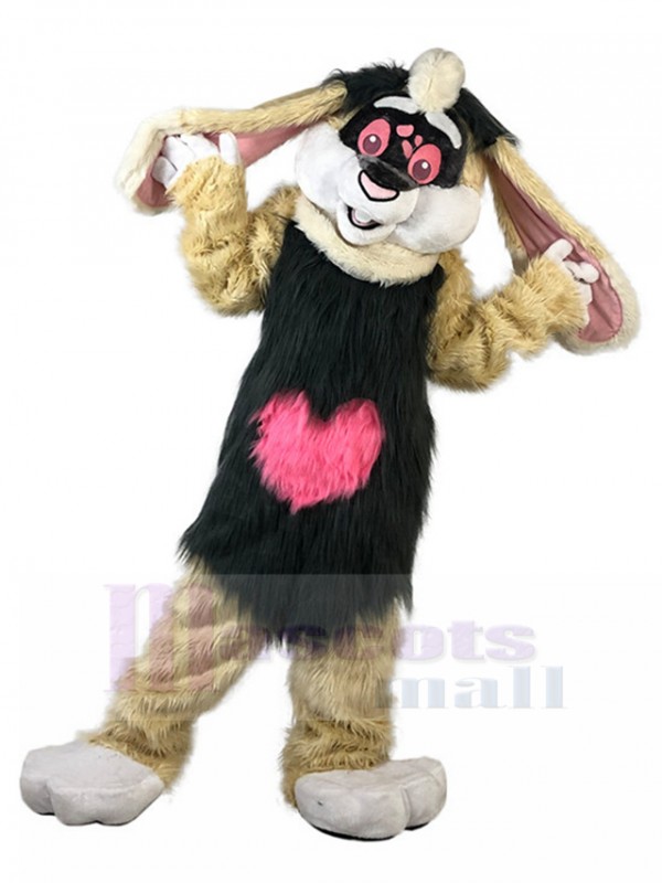 Lapin costume de mascotte
