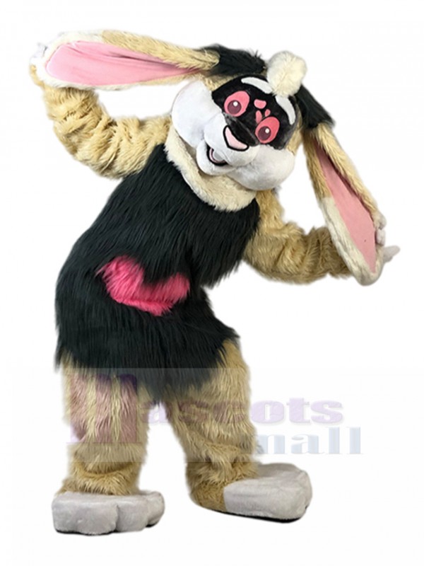 Lapin costume de mascotte