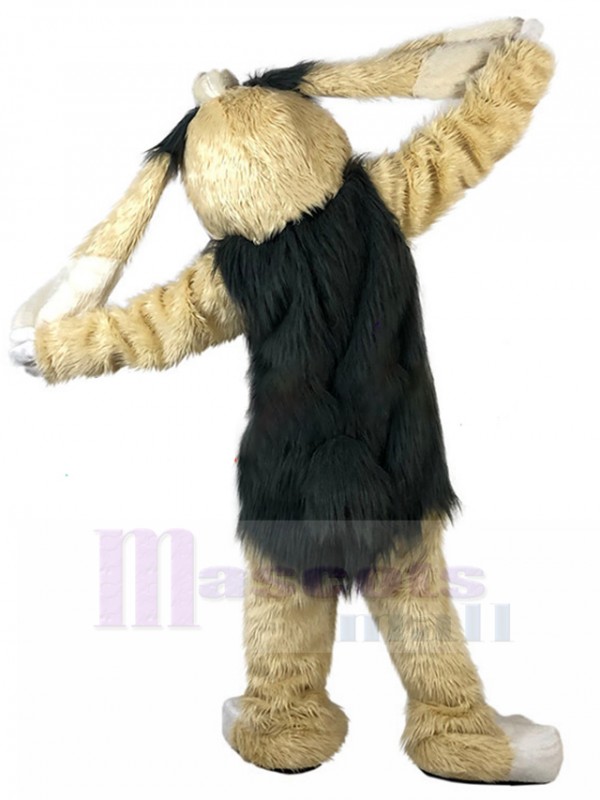Lapin costume de mascotte