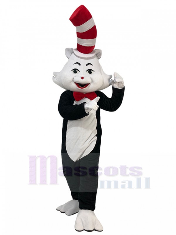 Chat costume de mascotte