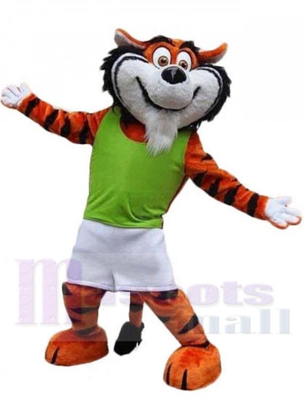 Tigre costume de mascotte