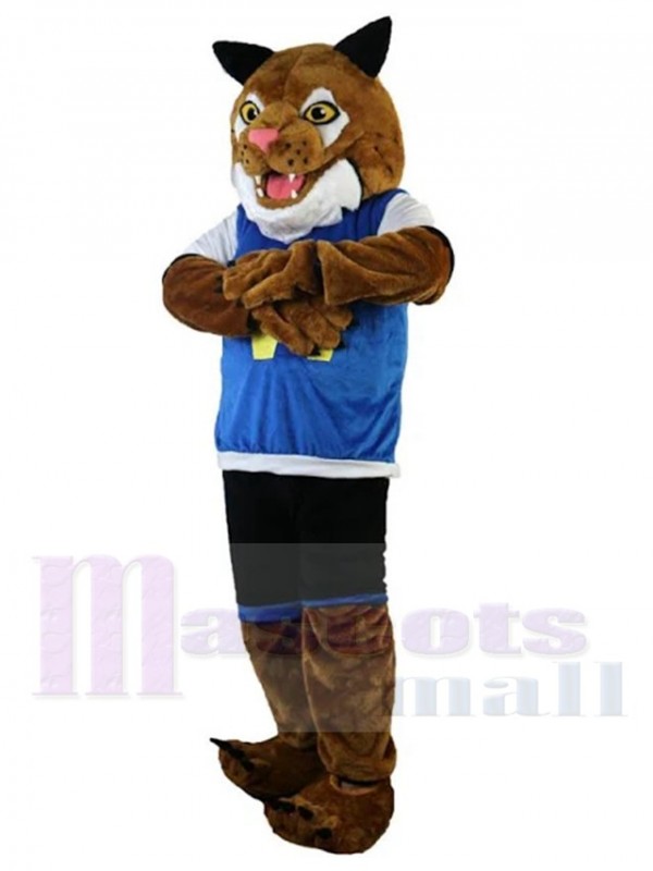 Tigre costume de mascotte