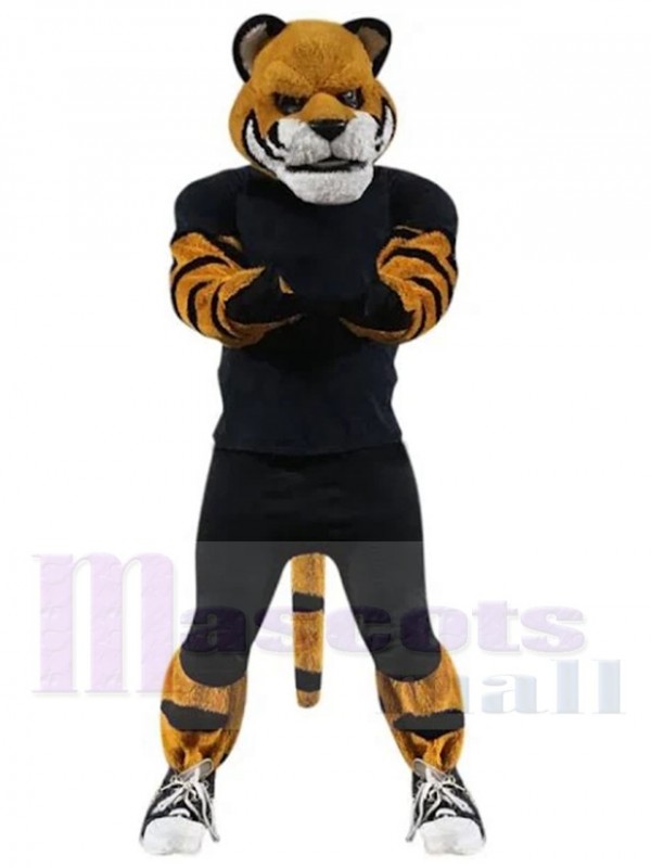 Tigre costume de mascotte