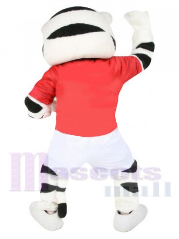 Tigre costume de mascotte