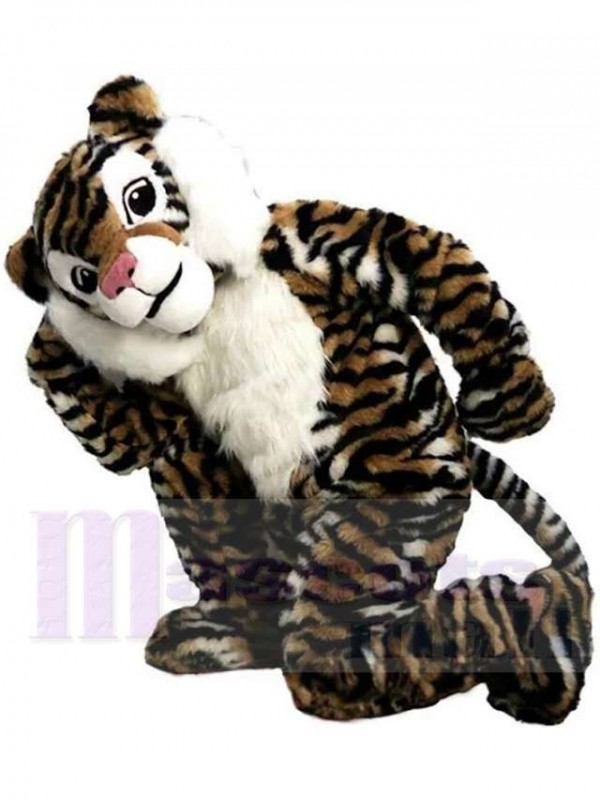 Tigre costume de mascotte