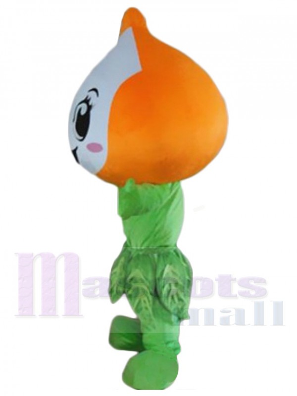 Elfe costume de mascotte