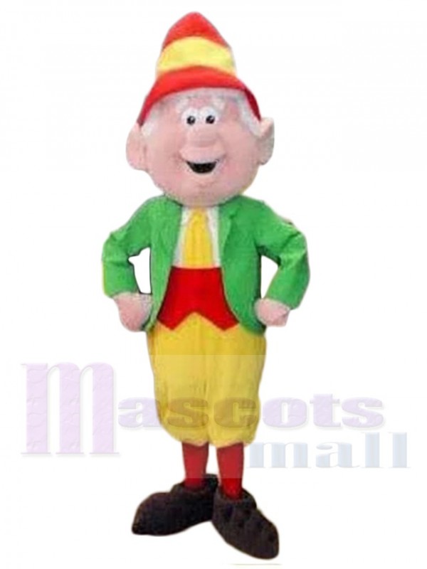 Elfe costume de mascotte
