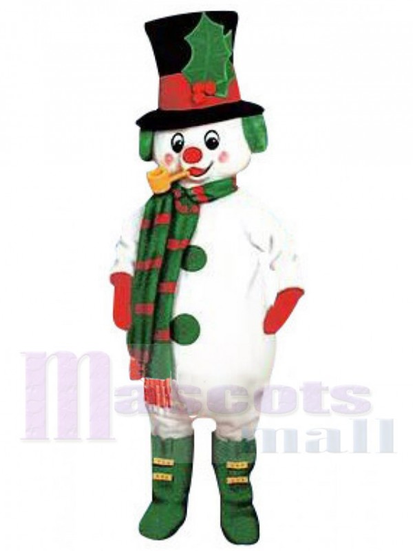 Elfe costume de mascotte