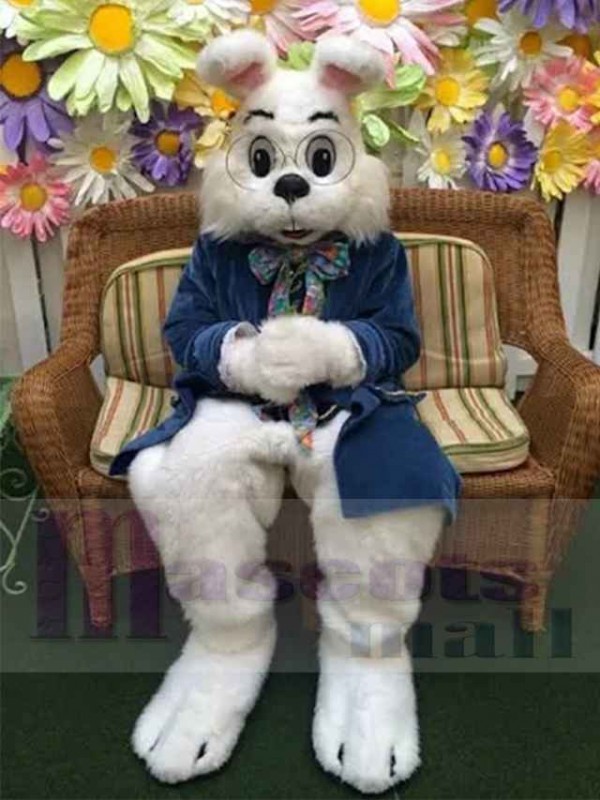 Wendell Lapin costume de mascotte