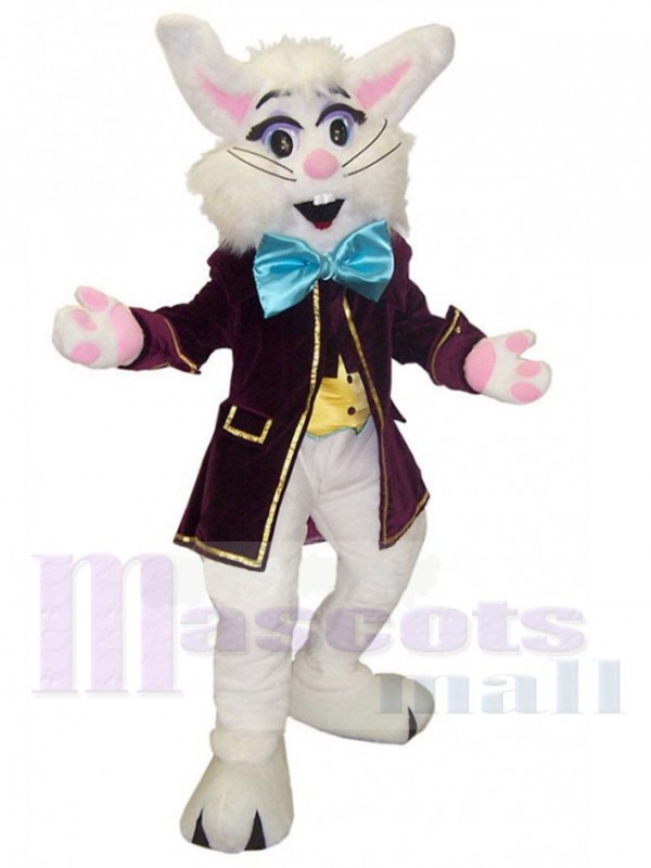 Wendell Lapin costume de mascotte