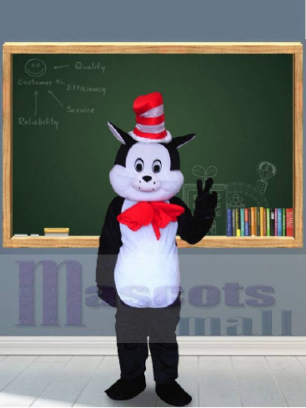 chat costume de mascotte