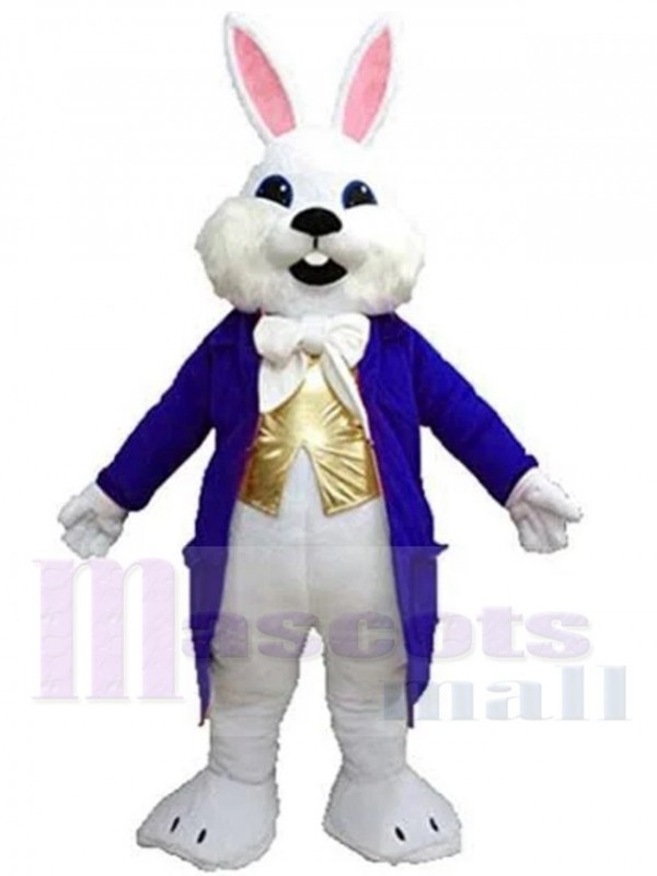 Lapin de Pâques costume de mascotte