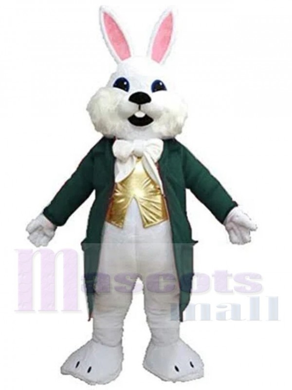 Lapin de Pâques costume de mascotte