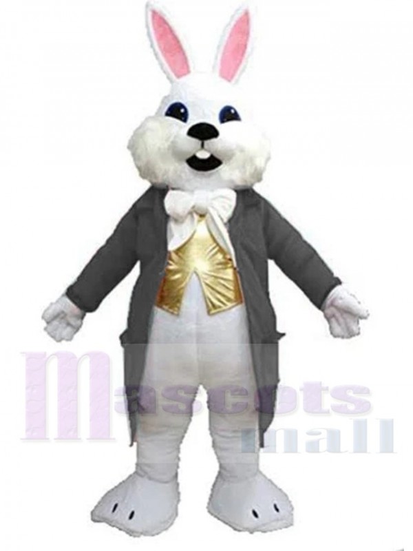 Lapin de Pâques costume de mascotte
