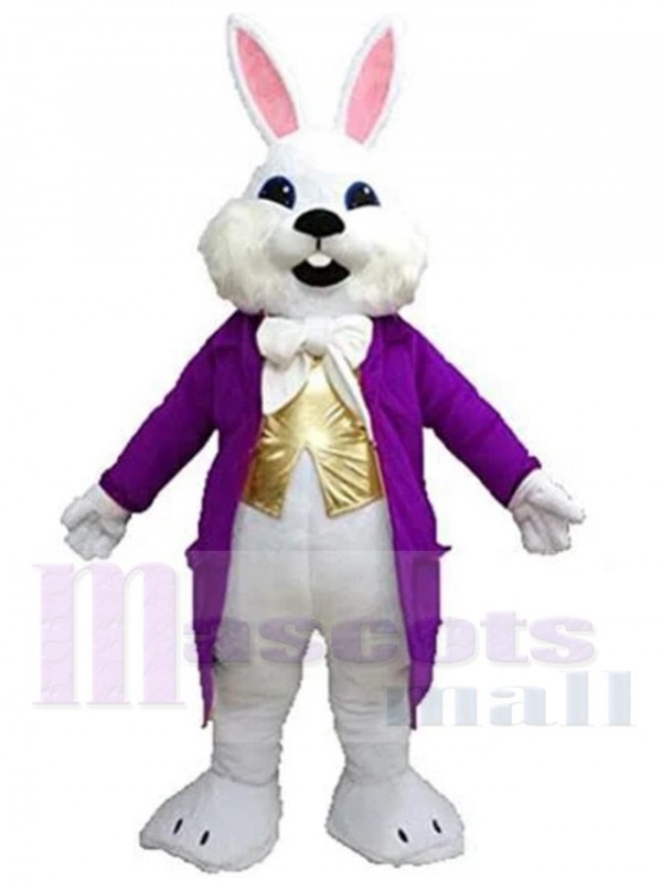 Lapin de Pâques costume de mascotte