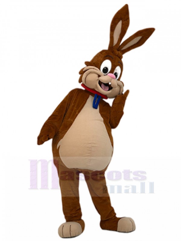 Lapin costume de mascotte