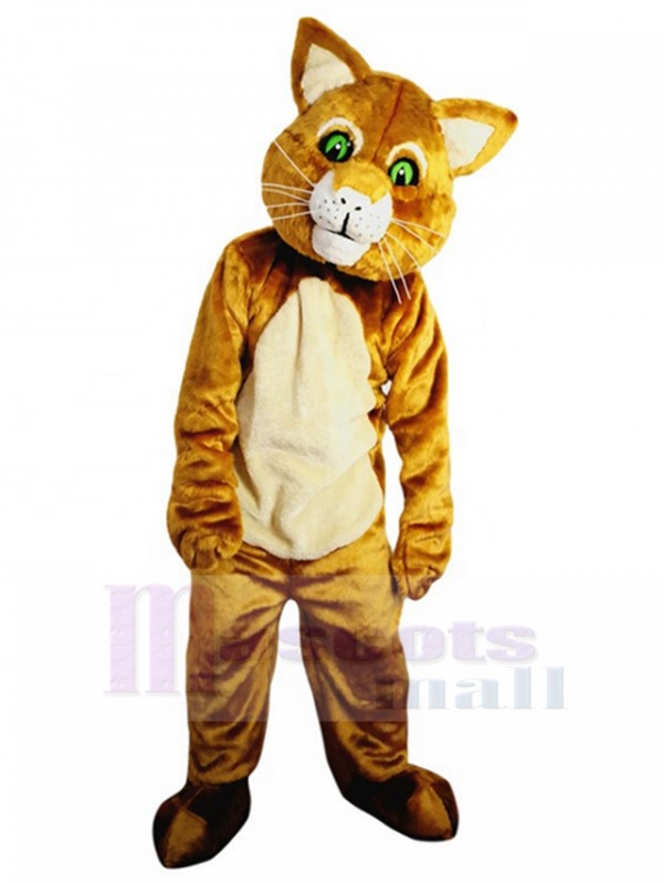 Chat costume de mascotte
