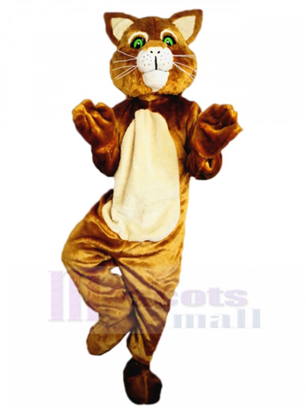 Chat costume de mascotte