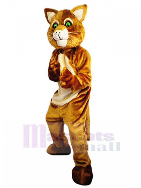 Chat costume de mascotte