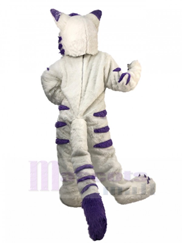 Chat costume de mascotte