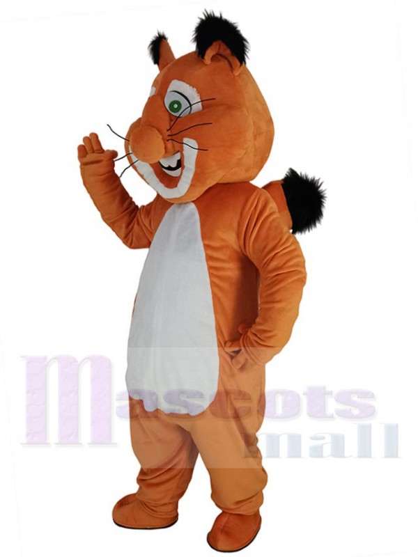 Écureuil costume de mascotte
