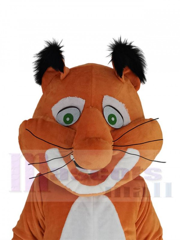 Écureuil costume de mascotte