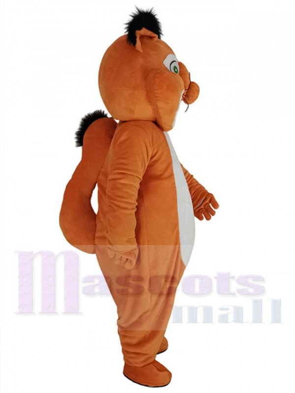 Écureuil costume de mascotte