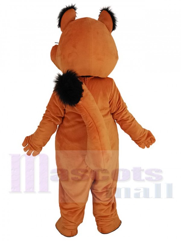Écureuil costume de mascotte