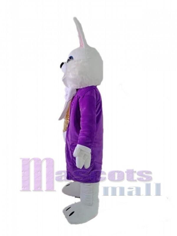 Lapin de Pâques costume de mascotte