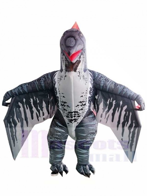 Ptérosaure Dinosaure Gonflable Halloween Noël Les costumes pour Adultes