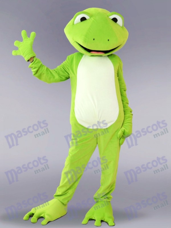 Costume de mascotte de grenouille verte Animal
