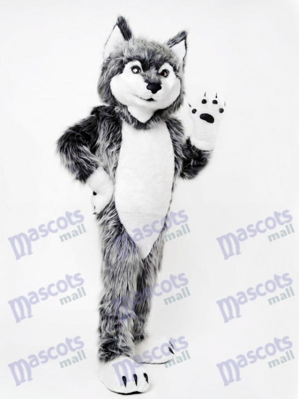 Costume de mascotte loup gris Animal