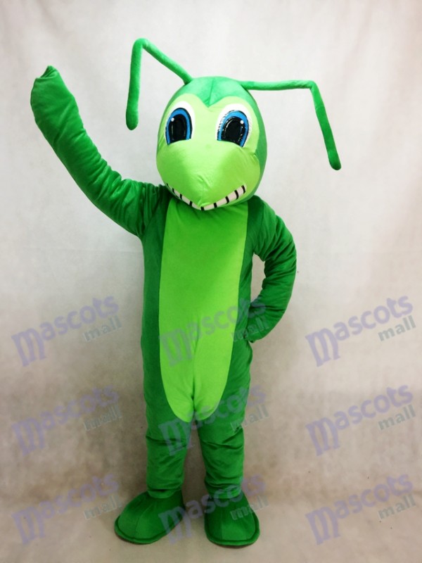 Insecte Costume Mascotte Grasshopper