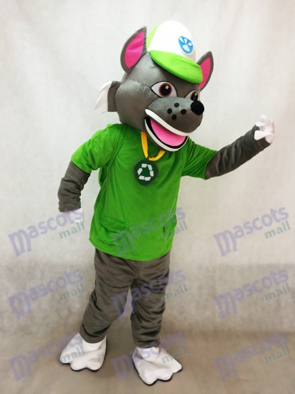Paw Patrol Recyclage Écologie Pup Rocky mascotte Costume Eco Pup