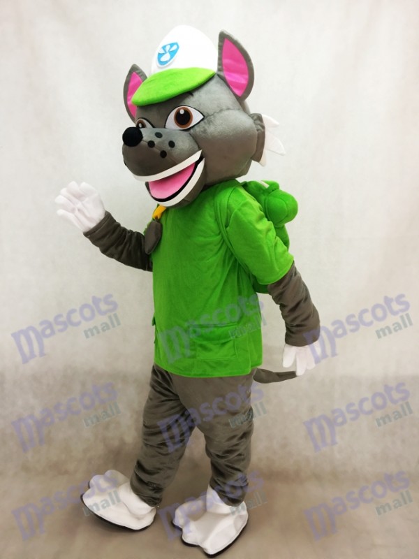 Paw Patrol Recyclage Écologie Pup Rocky mascotte Costume Eco Pup