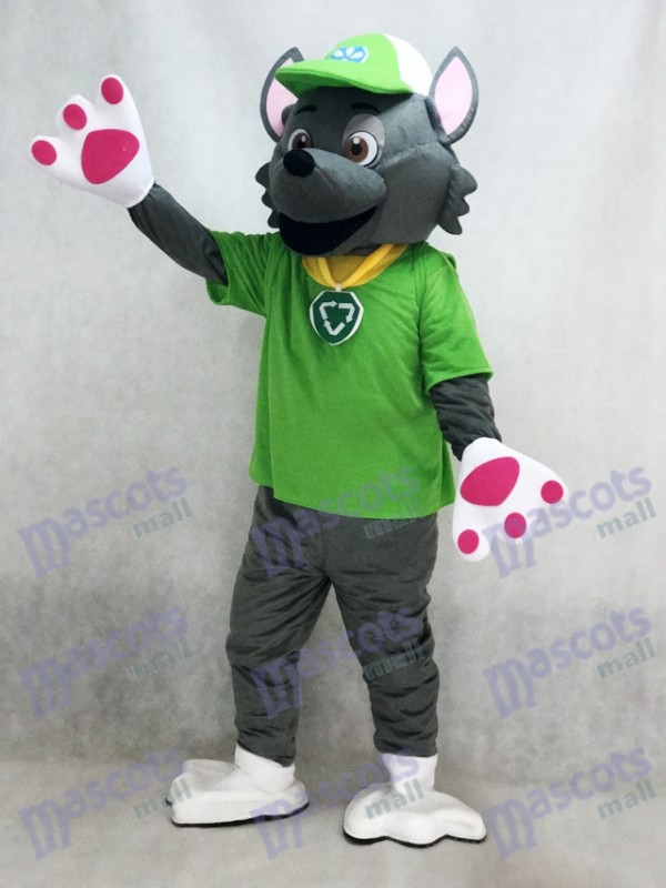 Paw Patrol Ecologie Pup Costume de mascotte Rocky Anime