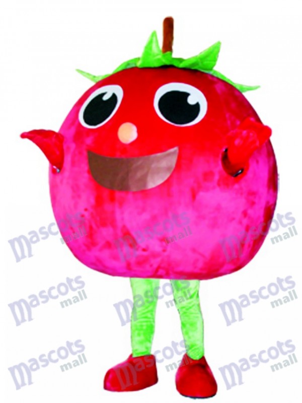 Costume de mascotte de tomate rouge Fruit de légume de fruit
